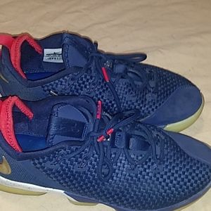 lebron 14 low usa